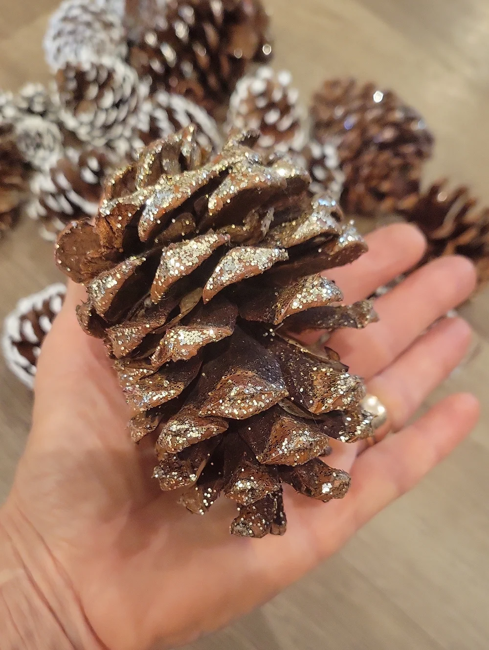 Holiday Pinecone Bundle